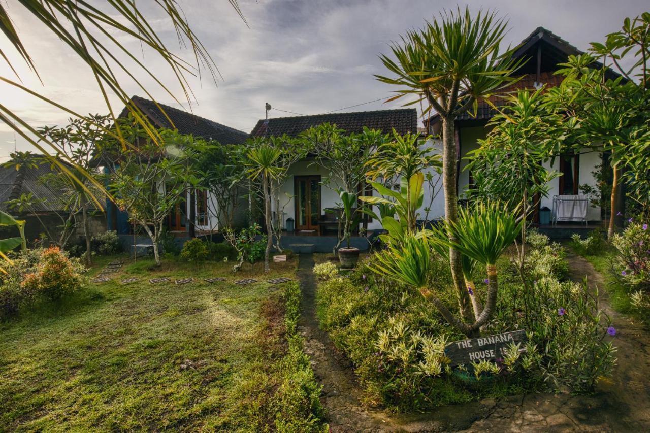 The Banana House Hotel Sakti Buitenkant foto