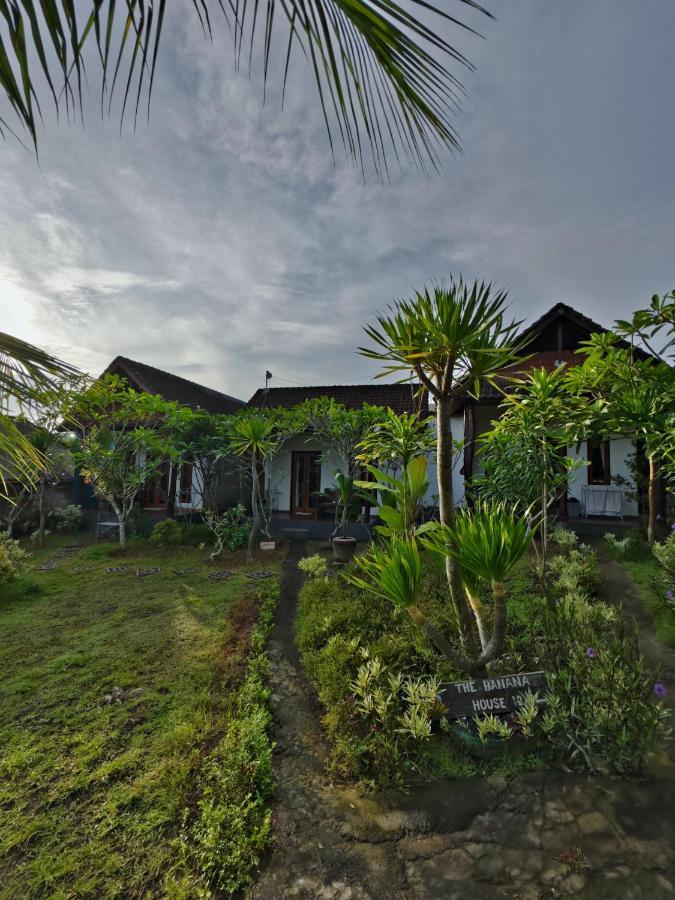 The Banana House Hotel Sakti Buitenkant foto